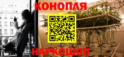 дмт Нальчик