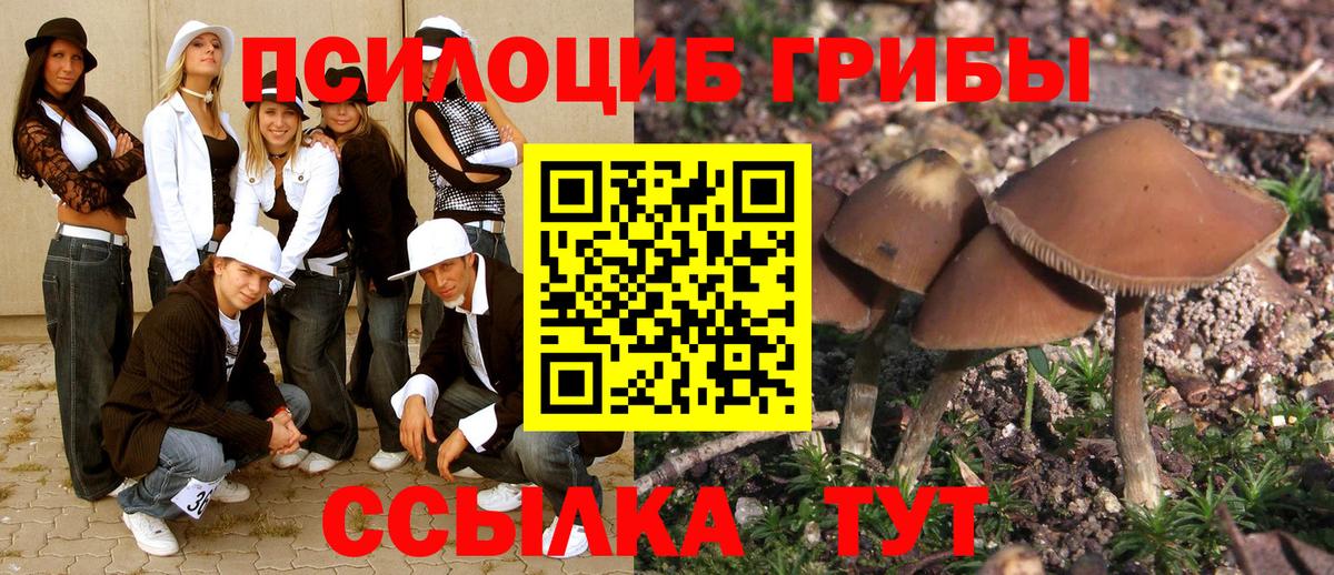 Псилоцибиновые грибы мицелий Ревда