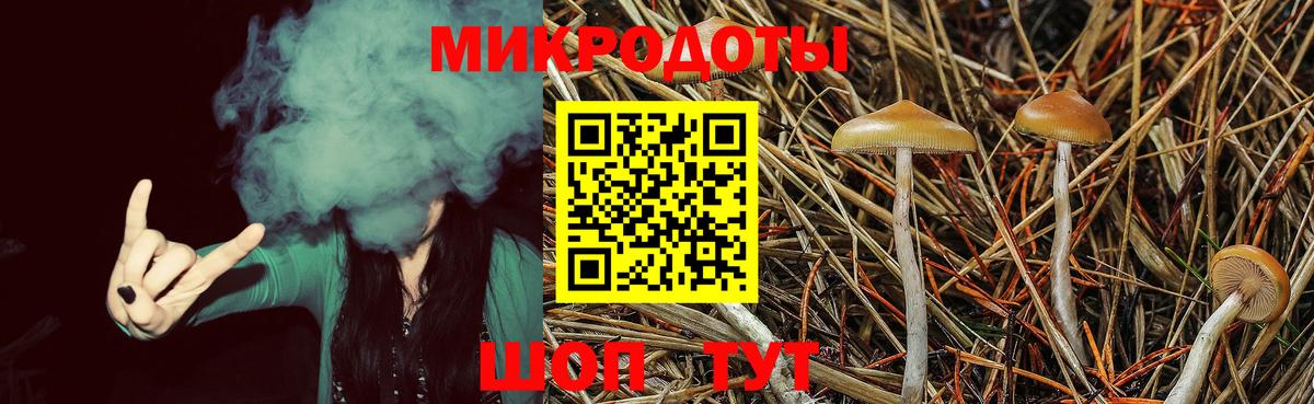 где найти   Вход с VPN  Ревда  Галлюциногенные грибы GOLDEN TEACHER 
